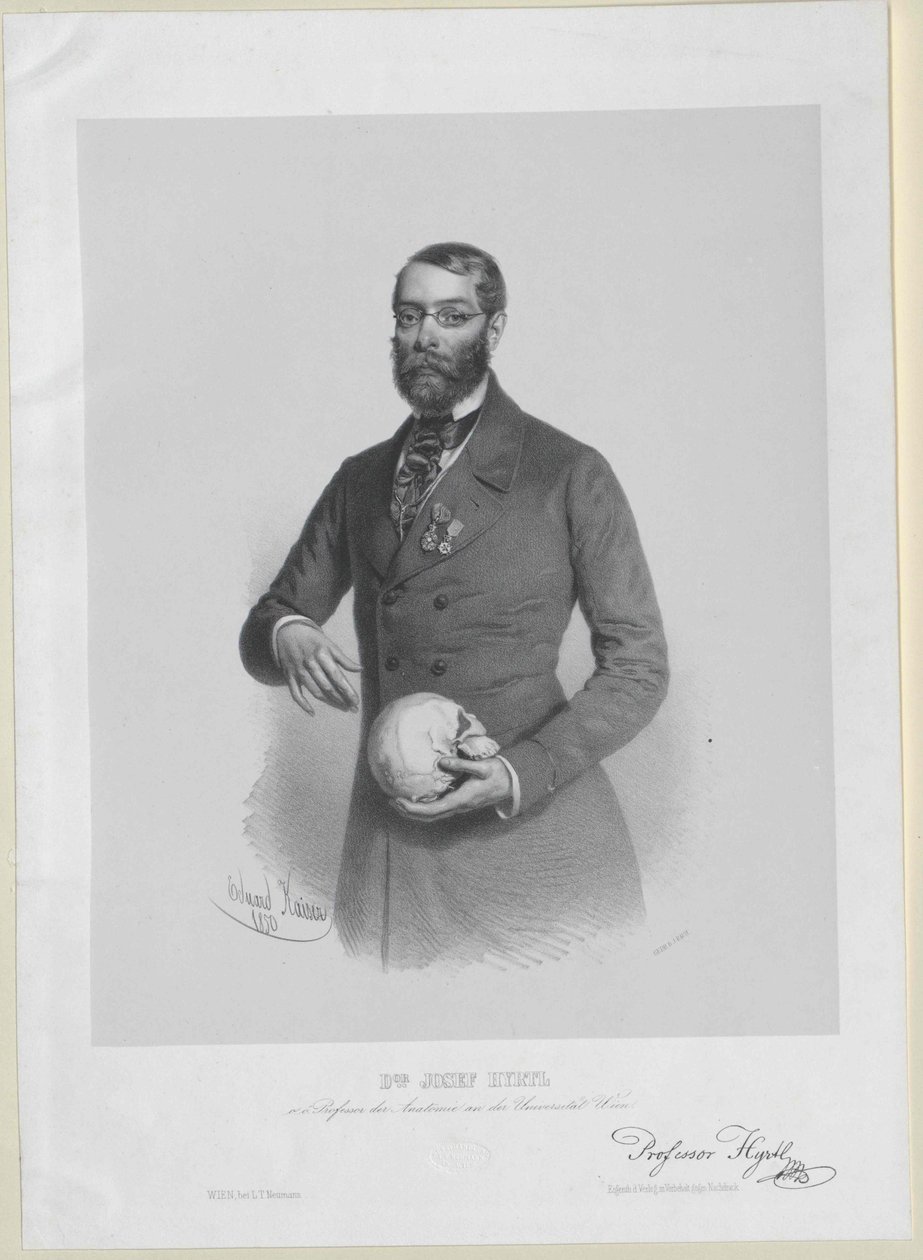 Joseph Hyrtl by Artist Unknown