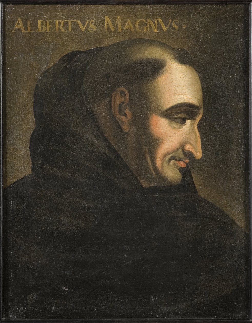 Saint Albert the Great (Albrecht von Bollstadt or Albert de Cologne) - Albertus Magnus by Artist Unknown