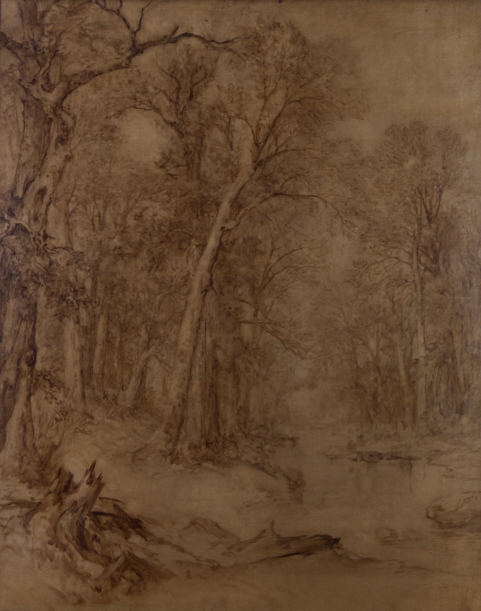 Woodland Brook, Preliminary Study, 1859 by Asher Brown Durand