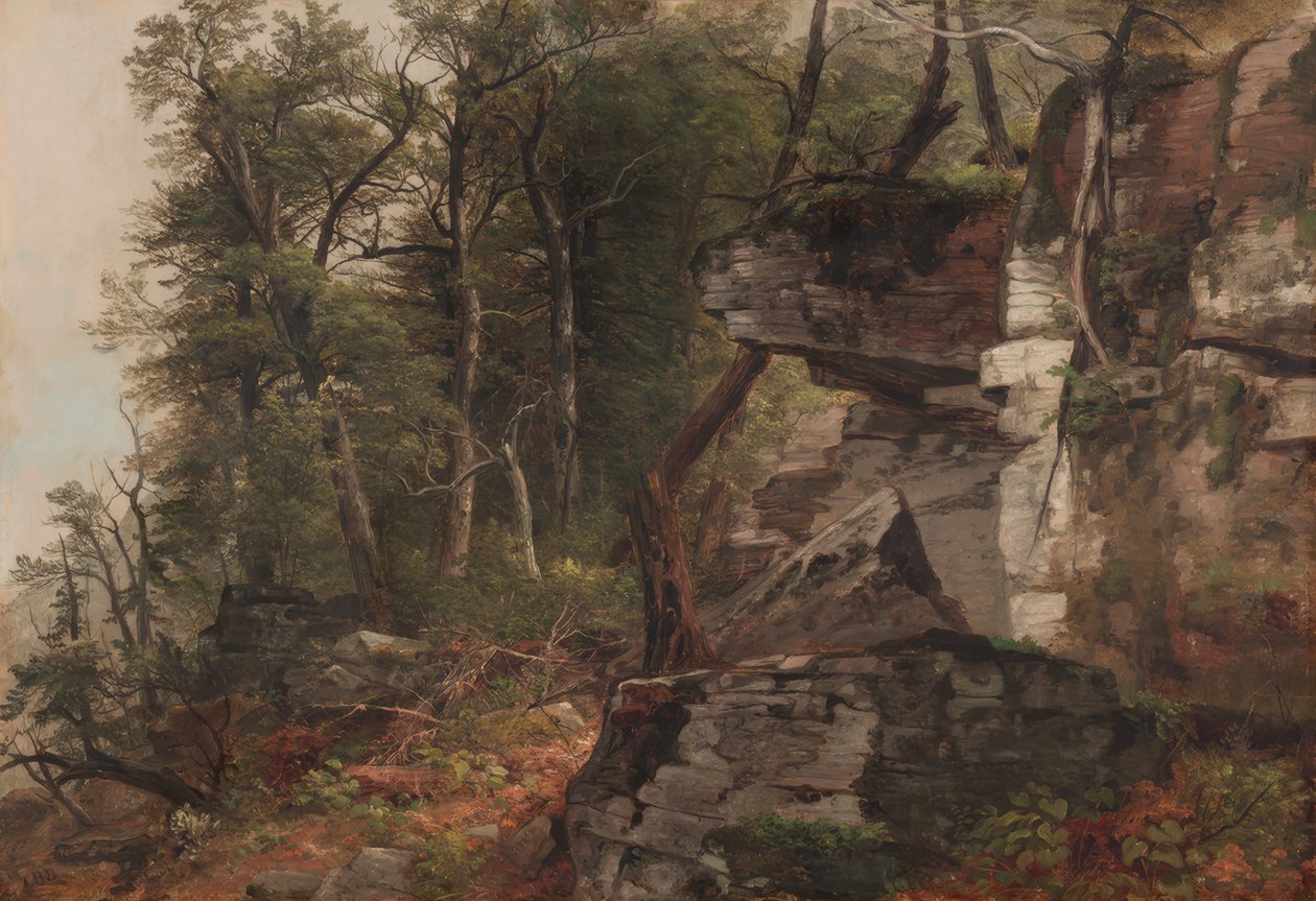 Trees on a Rocky Slope by Asher Brown Durand
