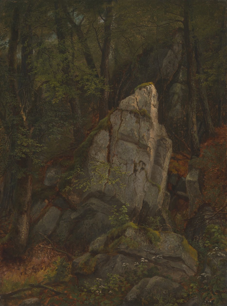 Study of Rocks in Pearson