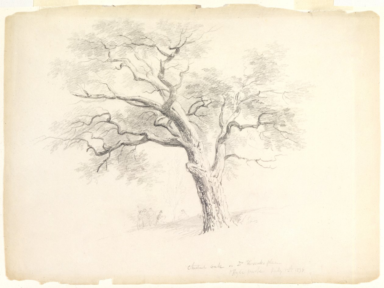 The Chestnut Oak on the Hosack Estate, Hyde Park, New York with Five Figures and an Artist Sketching, 1838 by Asher Brown Durand