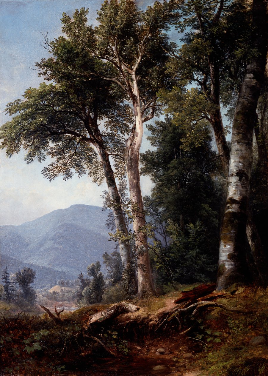 Woodland Landscape by Asher Brown Durand