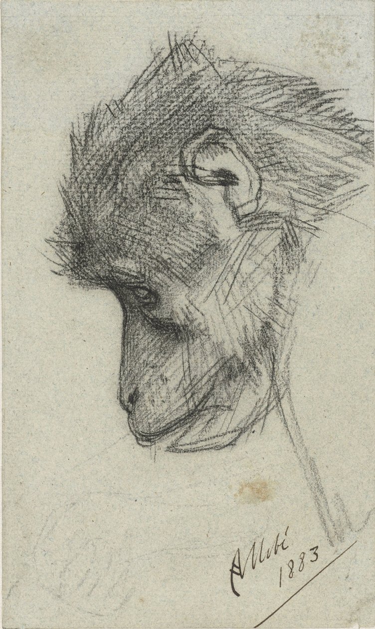 Head of a Monkey by August Allebe
