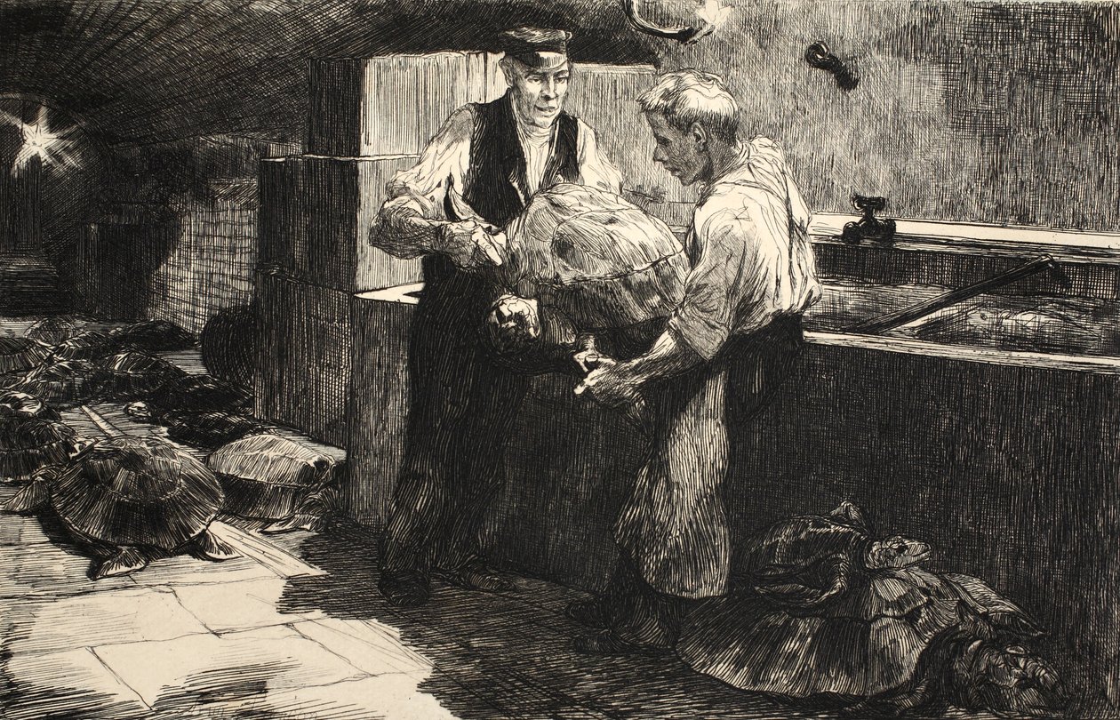 Illustration from 