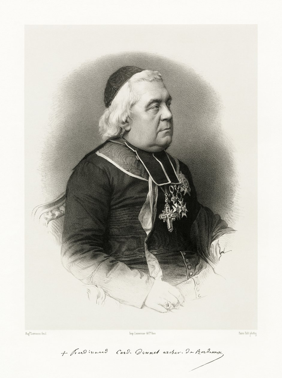 Ferdinand François Auguste Donnet by Auguste Charles Lemoine