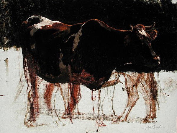 Study of Cattle by Auguste Francois Bonheur