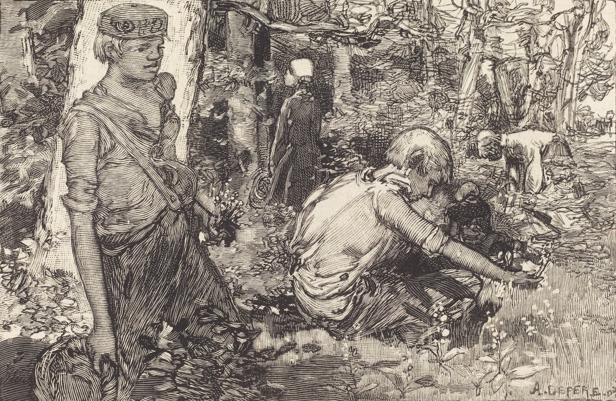 Gathering of May-lily, 1908 by Auguste Lepere