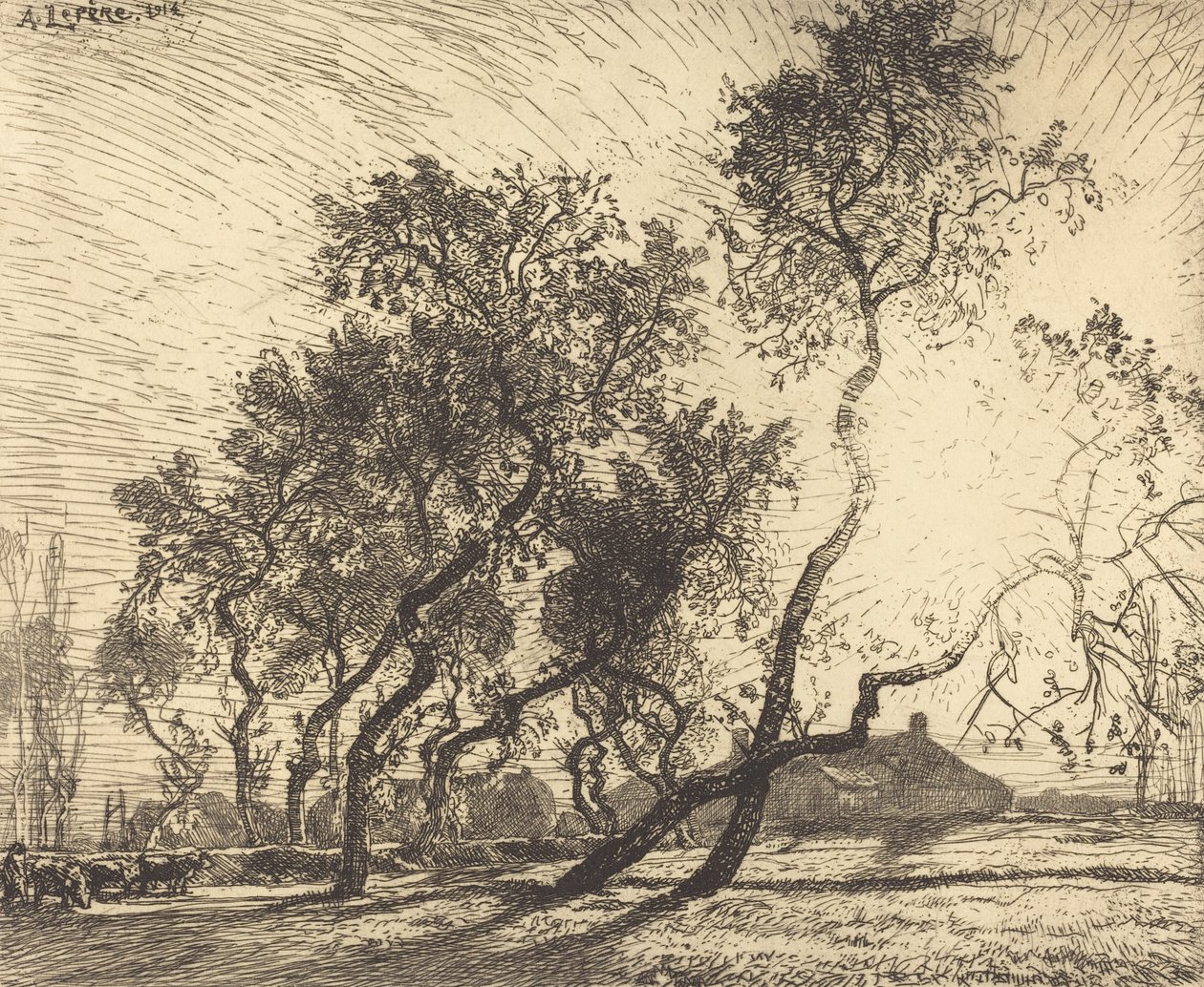 La Ferme aux peupliers de Hollande, 1914 by Auguste Lepere