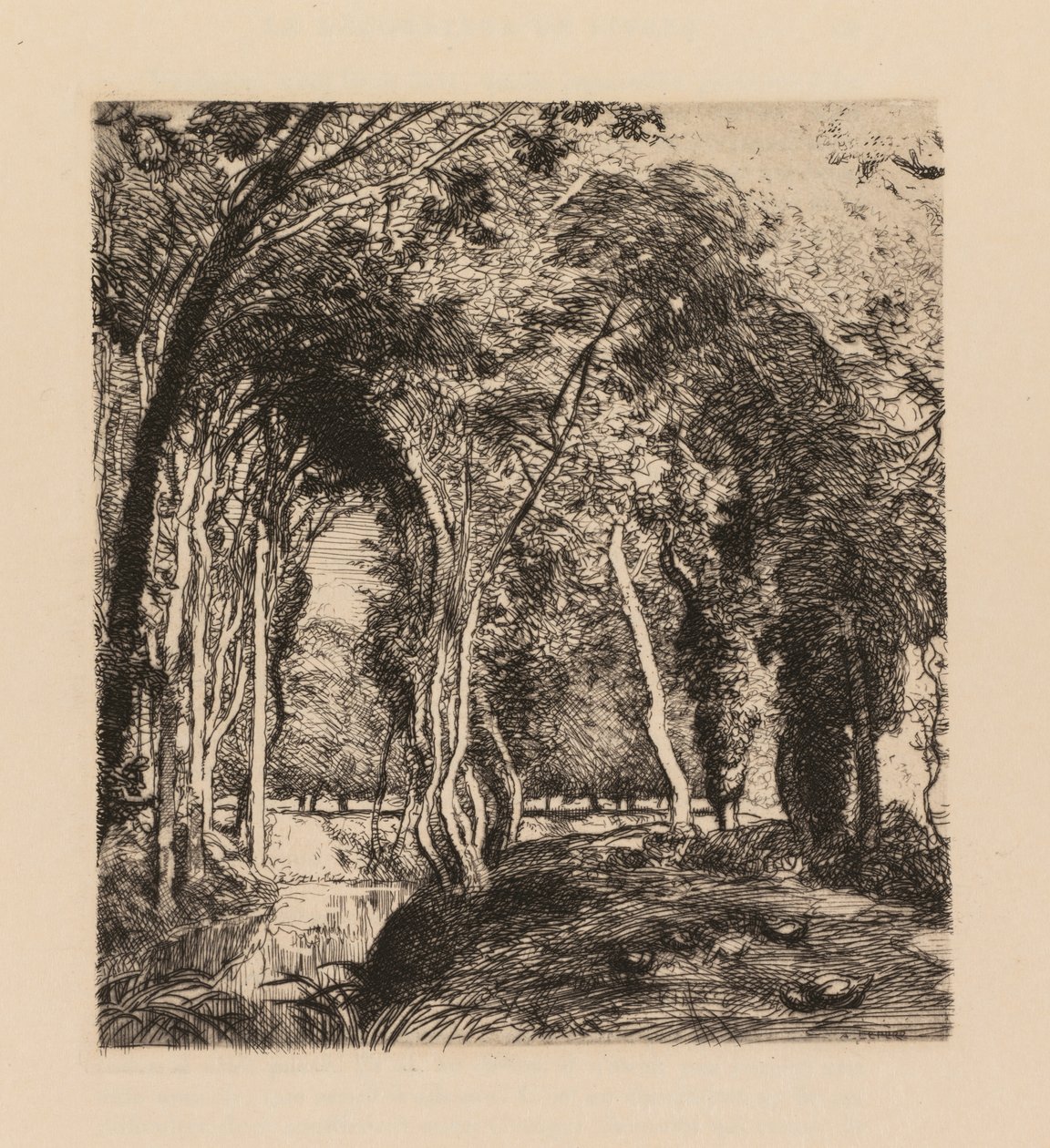 Auguste Lepère: Underwood, at La Rigonette (Vendée) by Auguste Louis Lepère