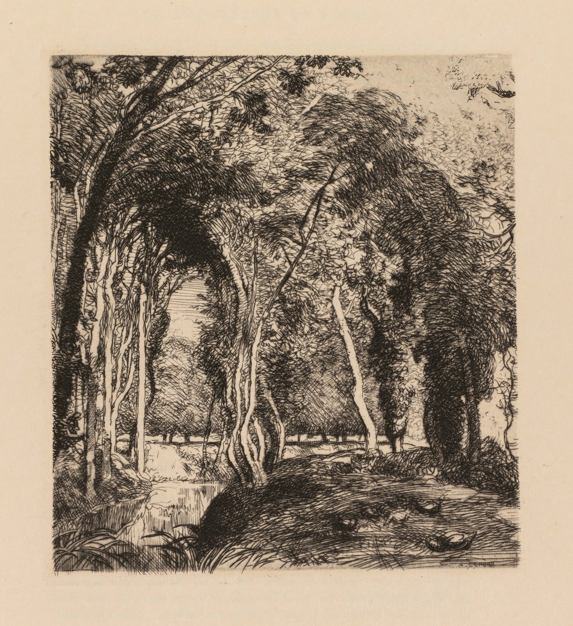 Auguste Lepère: Sous bois, à la Rigonette Vendée by Auguste Louis Lepère