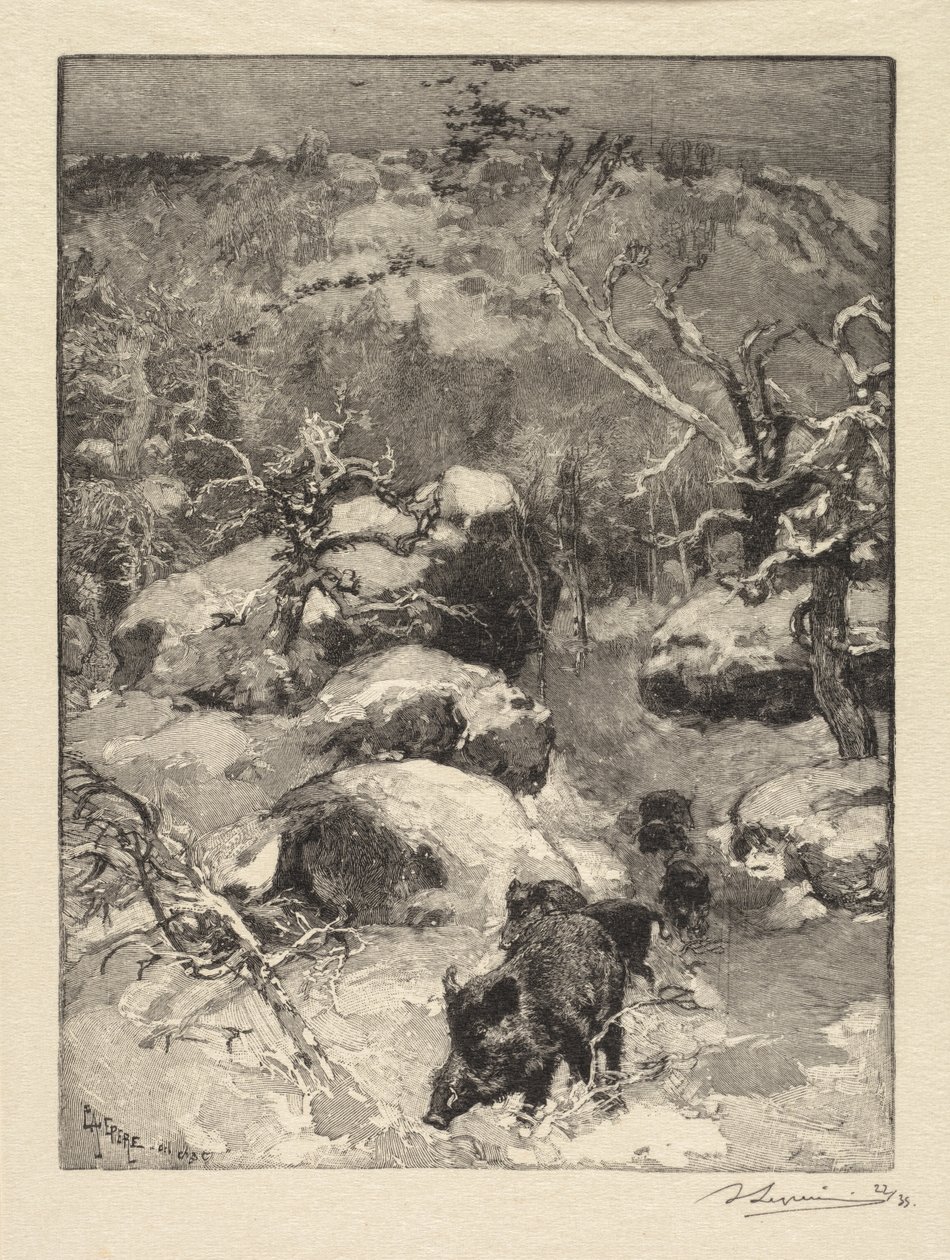 Fontainebleau Forest: Cuvier-Châtillon Cliff by Auguste Louis Lepère