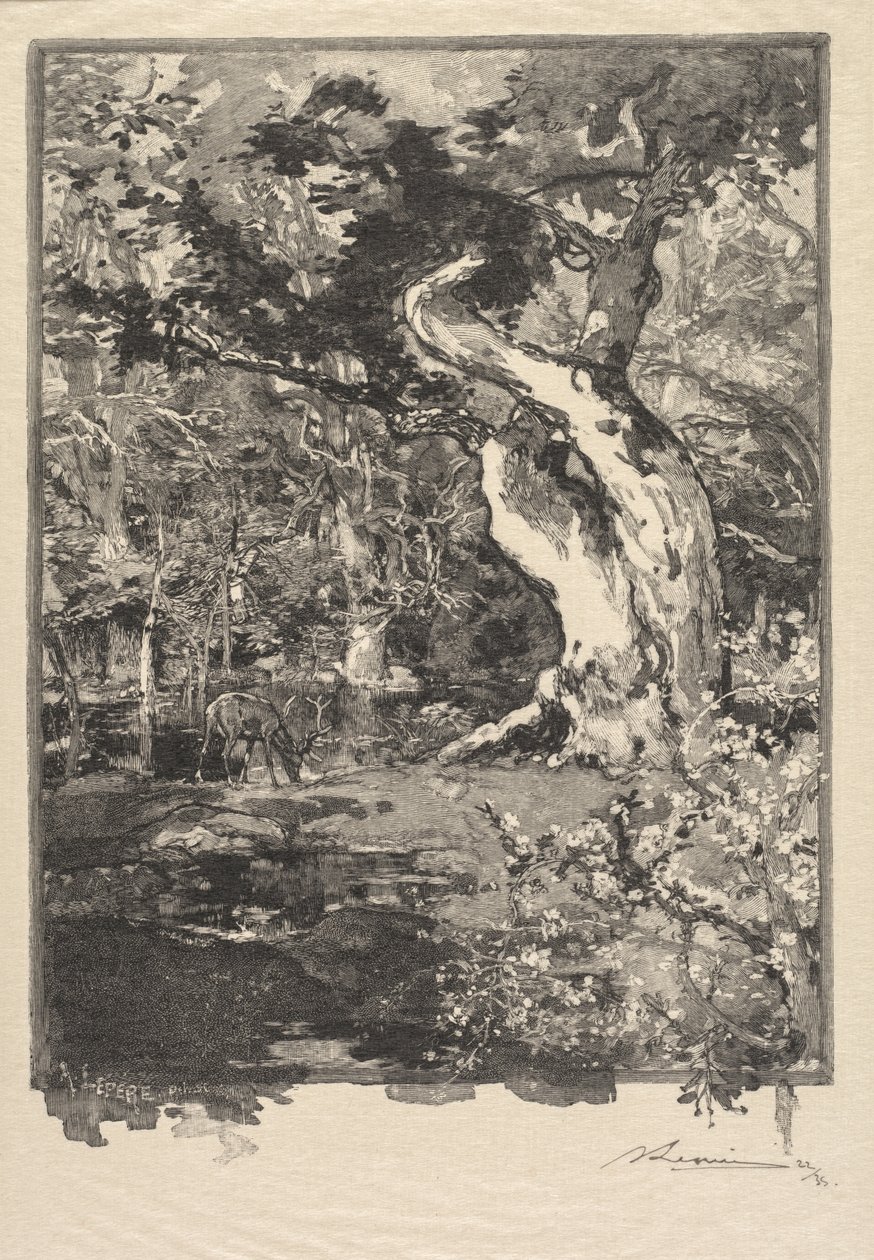 Fontainebleau Forest: Le Clovis, Plateau de Bellecroix by Auguste Louis Lepère