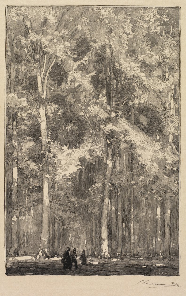 Fontainebleau Forest: Morning, Crossroads of the Route of the Forts de Marlotte by Auguste Louis Lepère