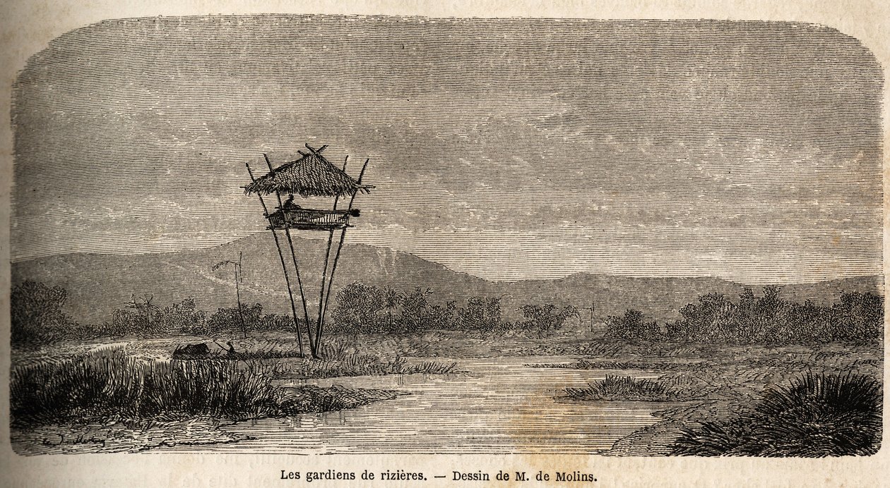 A rice guard, near Batavia (present-day Jakarta). Drawing by M. de Molins, to illustrate his journey to Java by Auguste de Molins