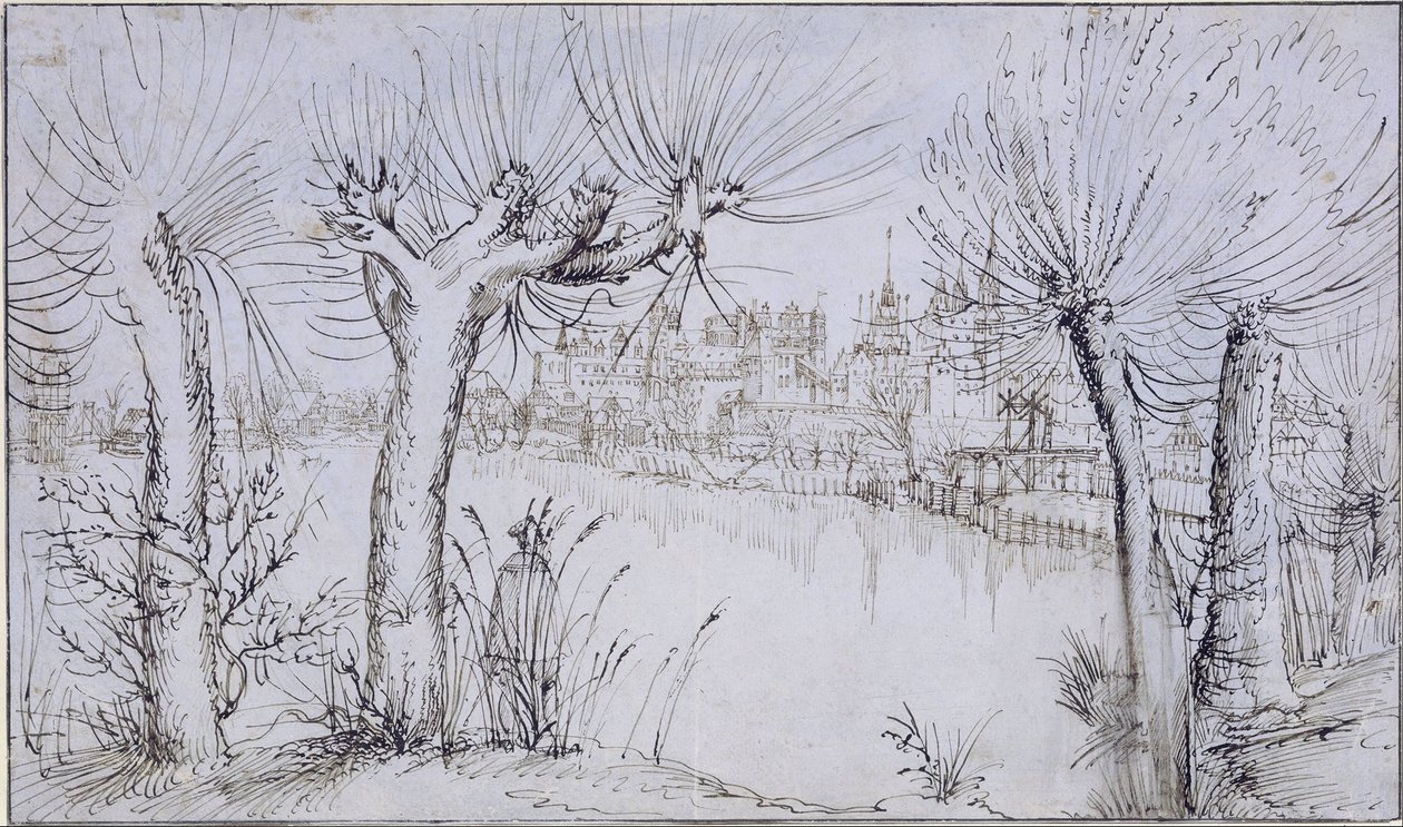 Pond before a Town by Augustin Hirschvogel