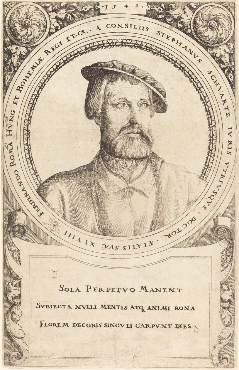 Doctor Stephen Schwartz, 1548 by Augustin Hirschvogel