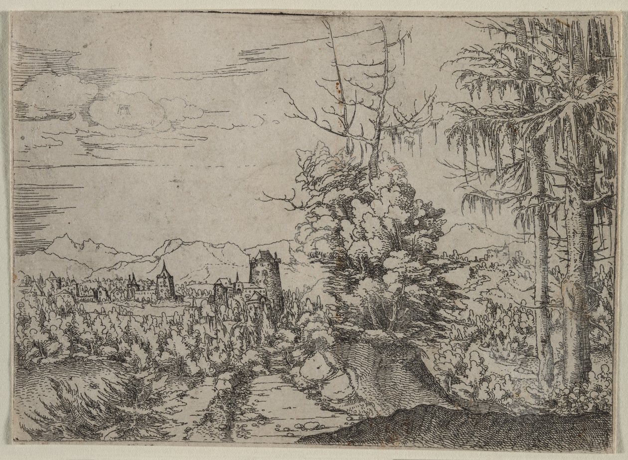 Landscape with Two Pines by Augustin Hirschvogel