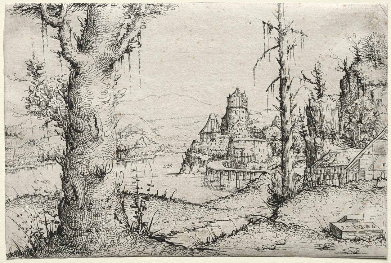 River landscape with large tree at left by Augustin Hirschvogel