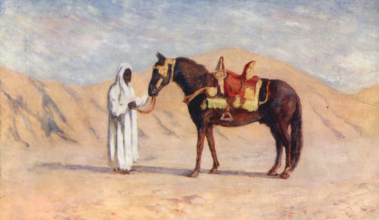 The Horse of the Bash Aga, Biskra by Augustine Fitzgerald