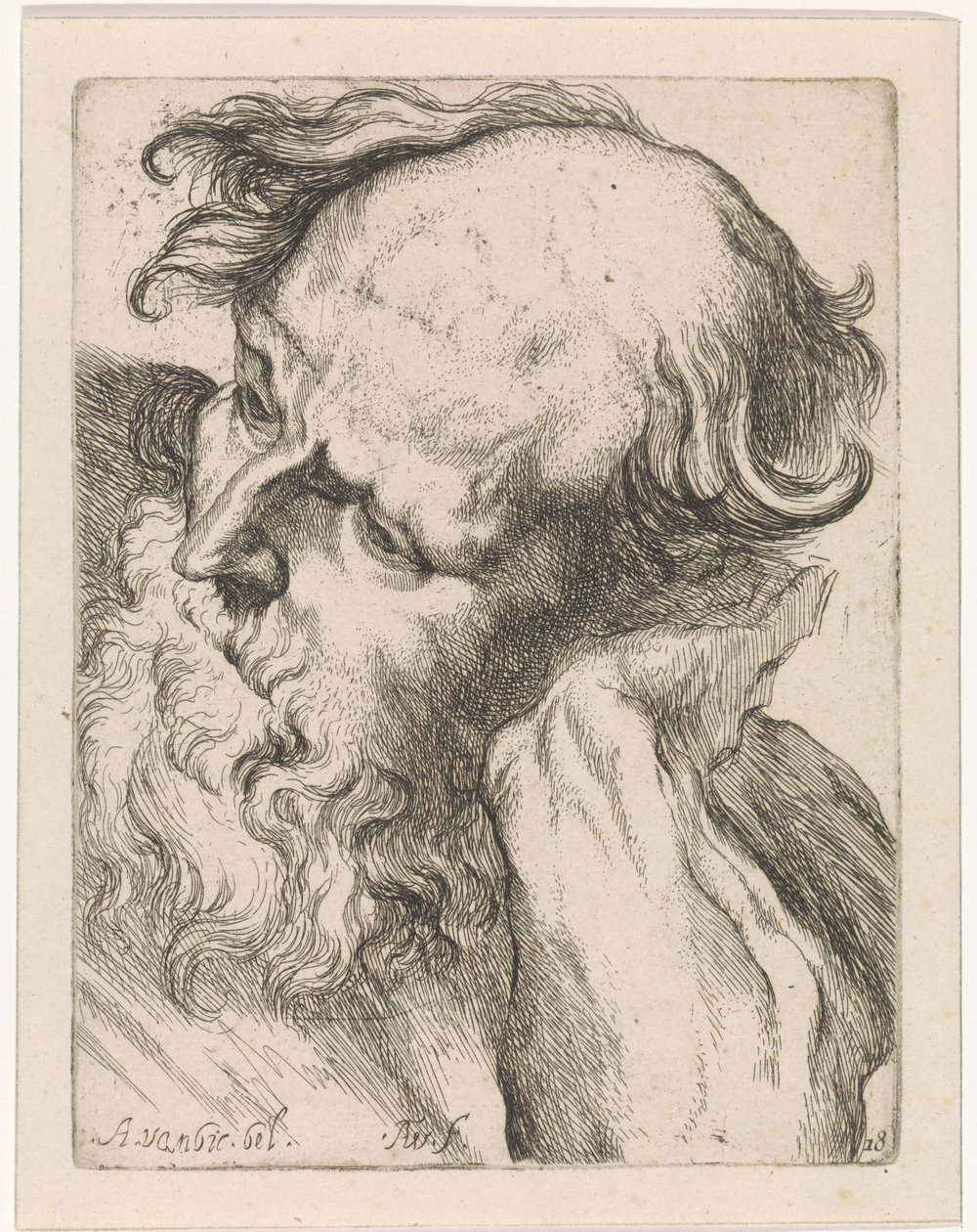 Head of an Old Man (Joseph) by Augustinus Terwesten (I)