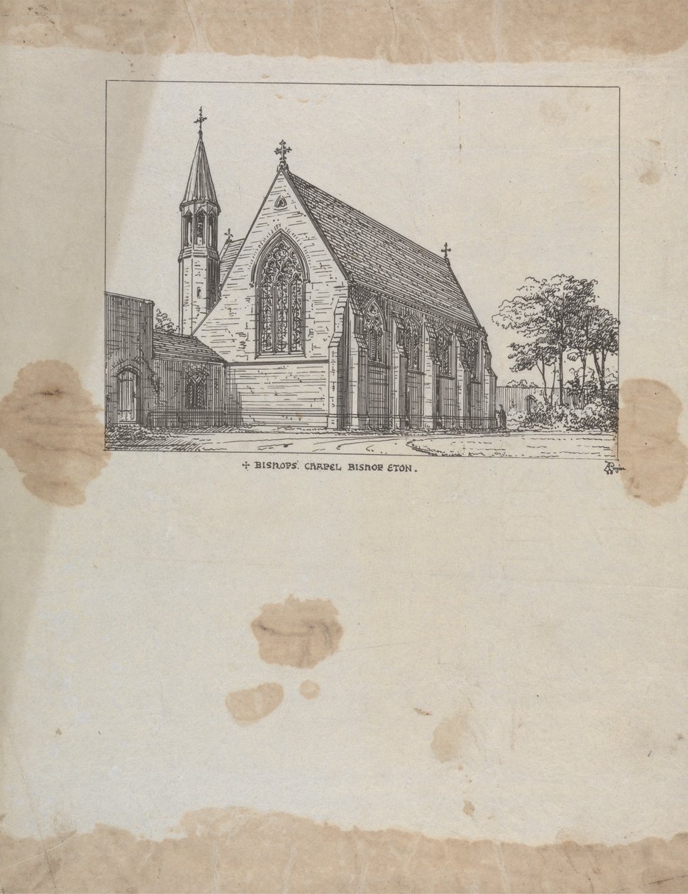 Bishop
