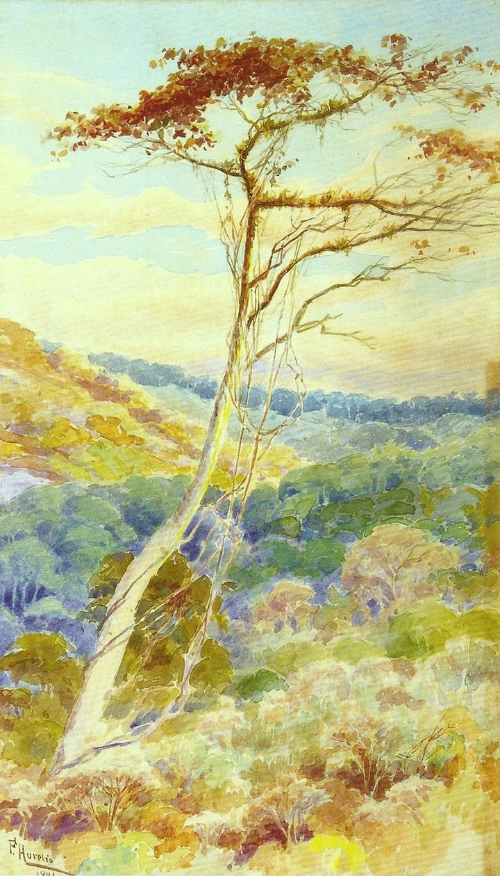 Landscape by Aurelio de Figueiredo