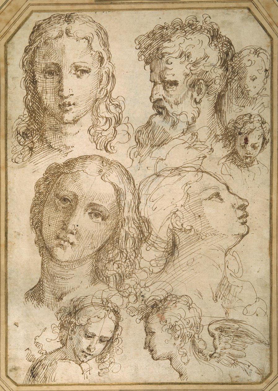 Head studies: a woman, an angel, a youth and a bearded man by Aurelio (attr. to) Luini