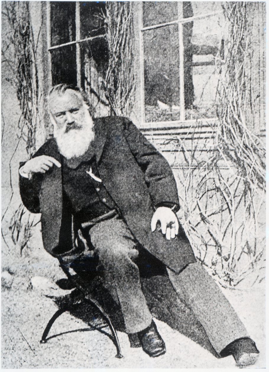 Johannes Brahms by Austrian Photographer