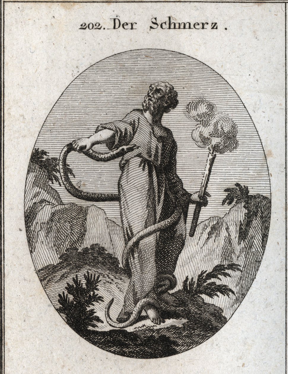 Allegory of Pain. A Monstrous Snake Surrounds Him Who, After Having Bound His Feet, Gains His Body and Tries to Bite His Heart. She Holds a Torch That Still Smokes, Which Means That Pain-Induced Abatement Quits the Fire of the Soul. Engraving in 