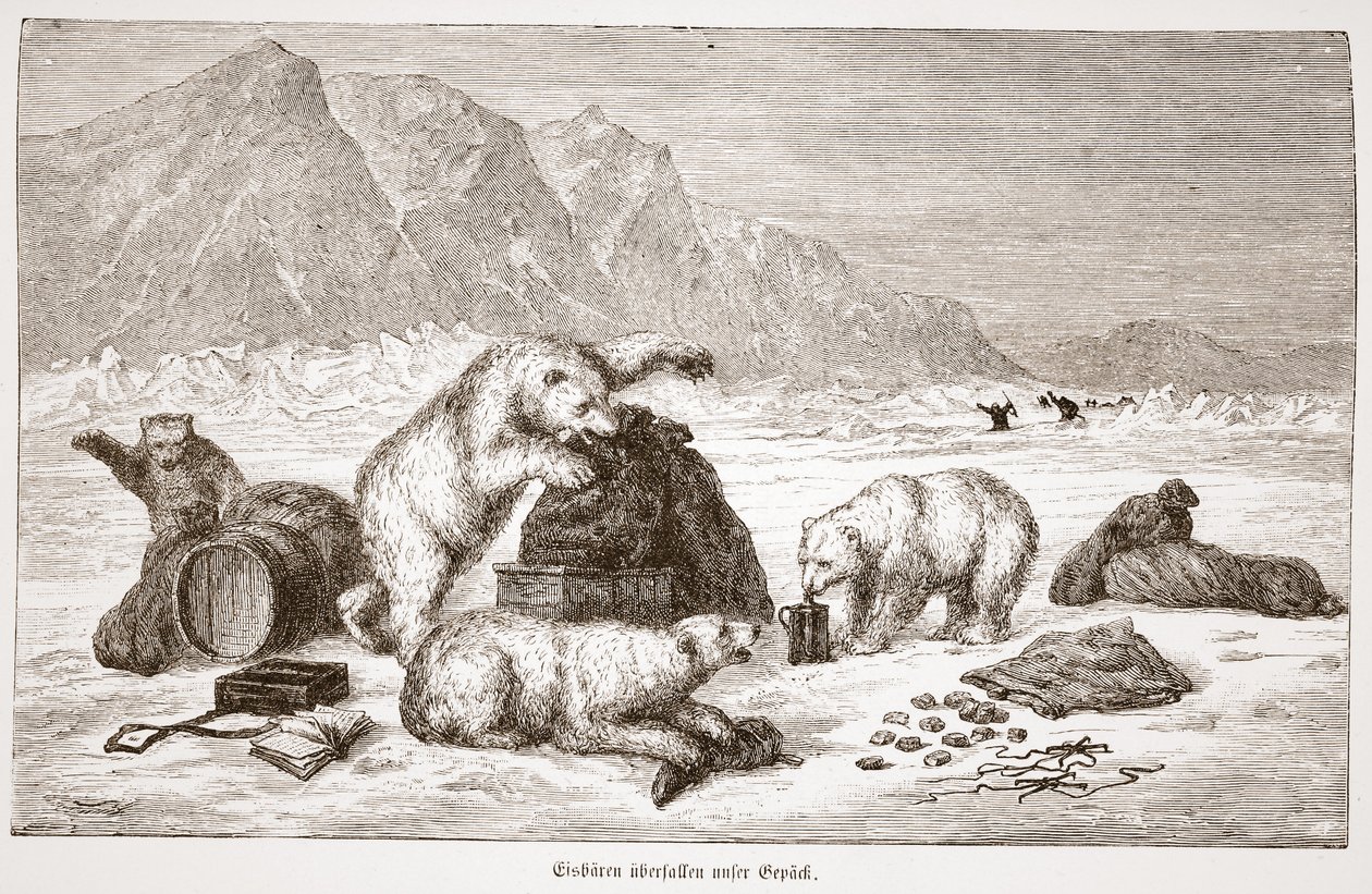 Polar bears attacking our luggage, pub. Vienna 1876 by Austrian School