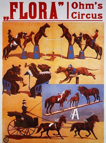 Poster Advertising 