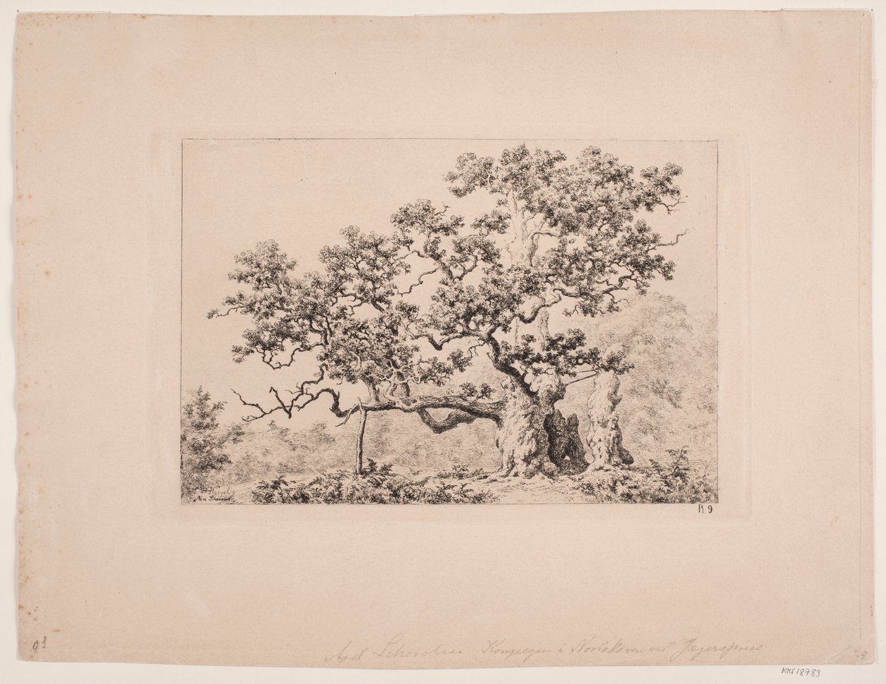 The Royal Oak by Axel Schovelin