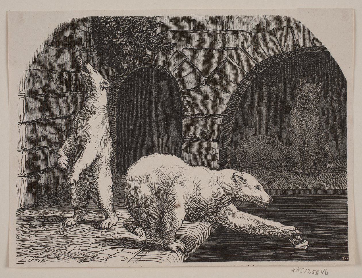 Bears in Jardin des Plantes by Axel Theodor Kittendorff