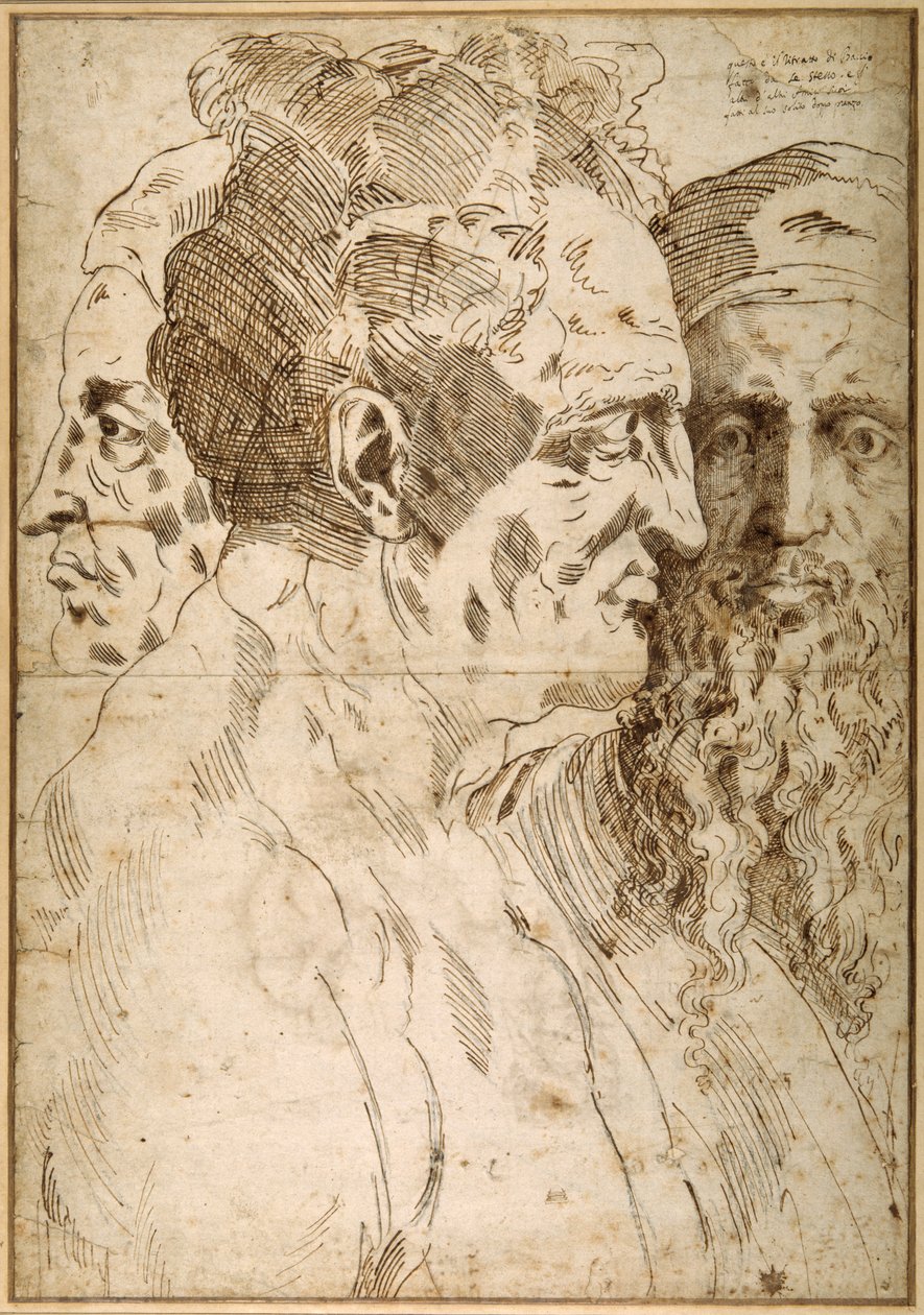 Three male heads juxtaposed by Baccio Bandinelli