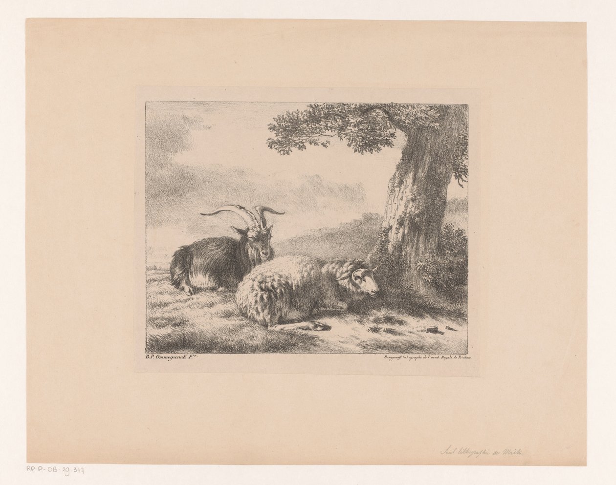 Goat and Sheep by Balthasar Paul Ommeganck