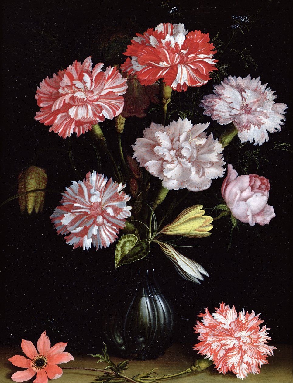 Floral Study: Carnations in a Vase by Balthasar van der Ast