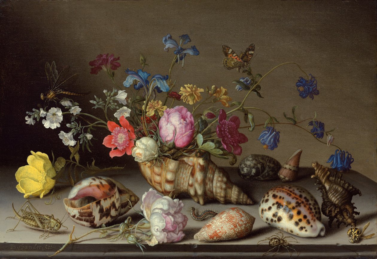 Flowers, Shells and Insects on a Stone Ledge by Balthasar van der Ast