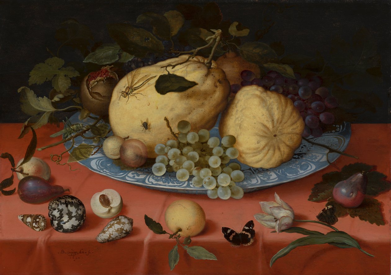 Fruit Still Life with Shells and Tulip by Balthasar van der Ast