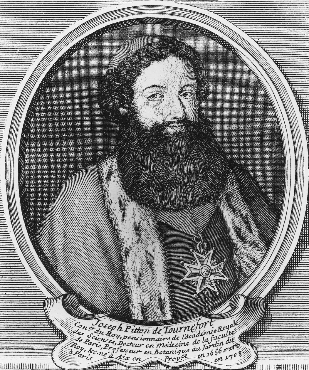 Joseph Pitton de Tournefort by Baptistin Martin