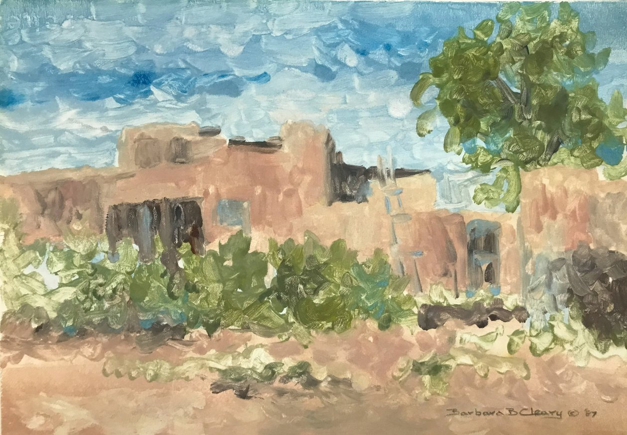 Adobe Serenity by Barbara Cleary