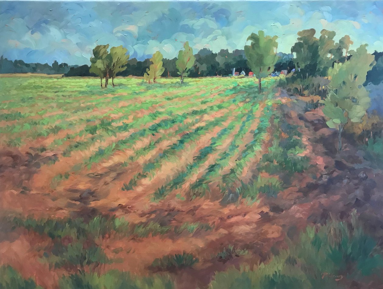 Early Morning by Barbara Cleary