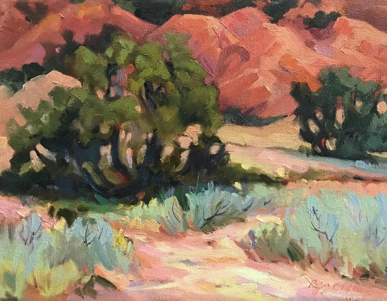 Mesa at Ghost Ranch by Barbara Cleary