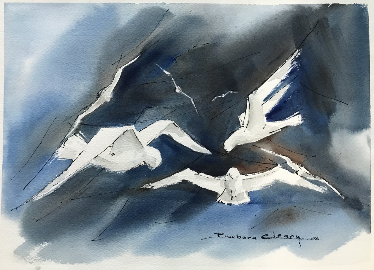 Seagulls by Barbara Cleary