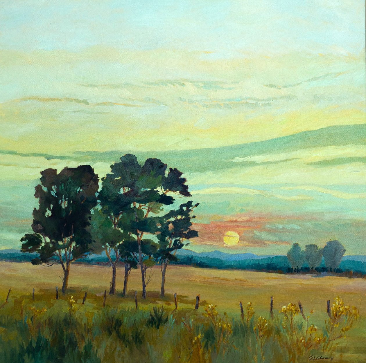 Sunrise by Barbara Cleary