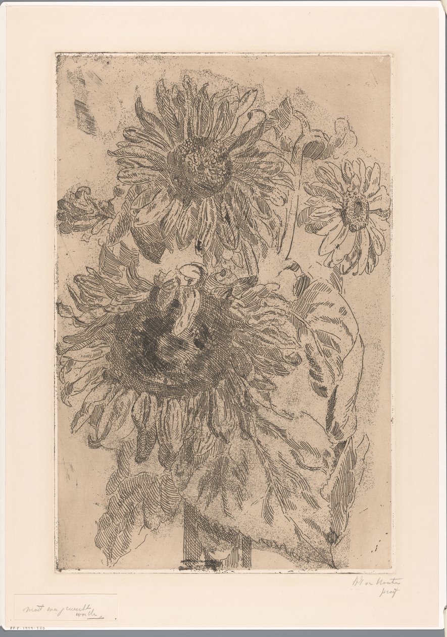 Three Sunflowers in a Vase by Barbara Elisabeth van Houten (signed by artist)