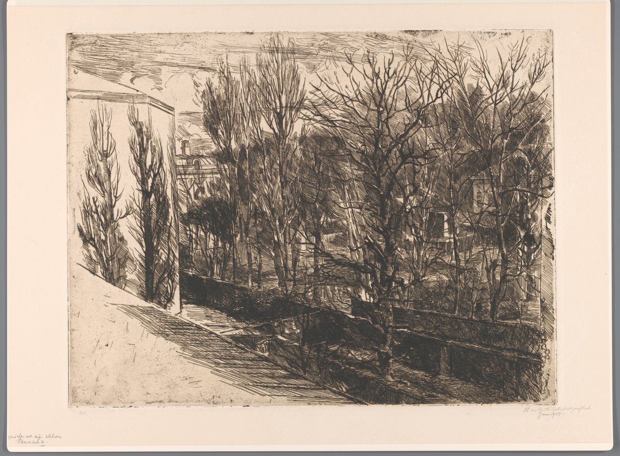 View from My Studio (Panorama) by Barbara Elisabeth van Houten (signed by artist)