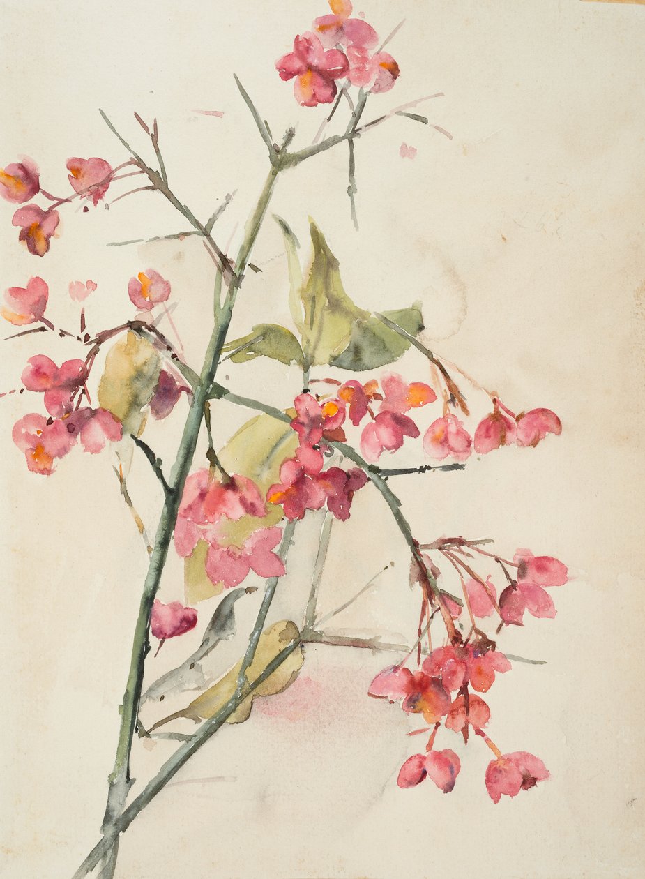 Pink Flowers by Barbara Leigh Smith Bodichon