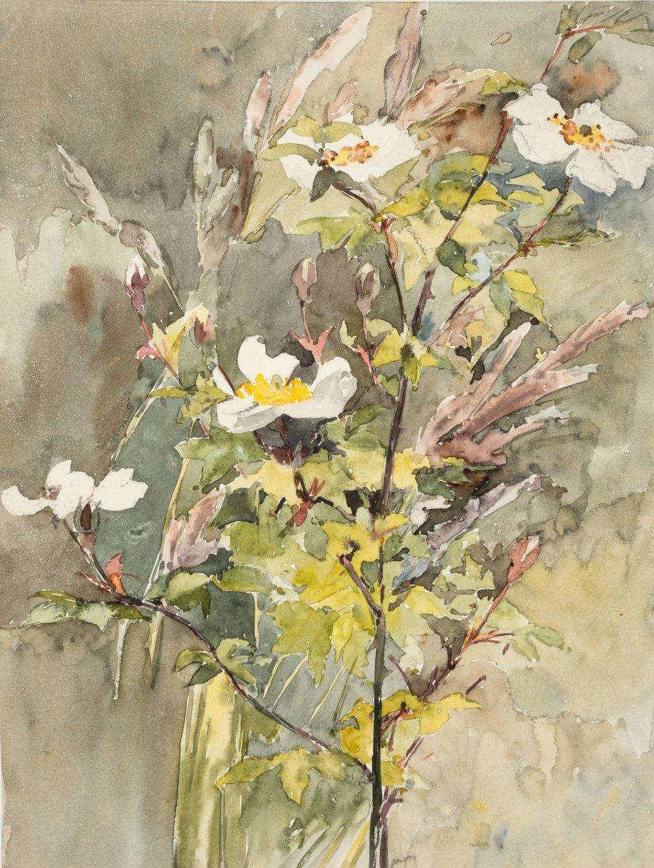 Wildflowers by Barbara Leigh Smith Bodichon