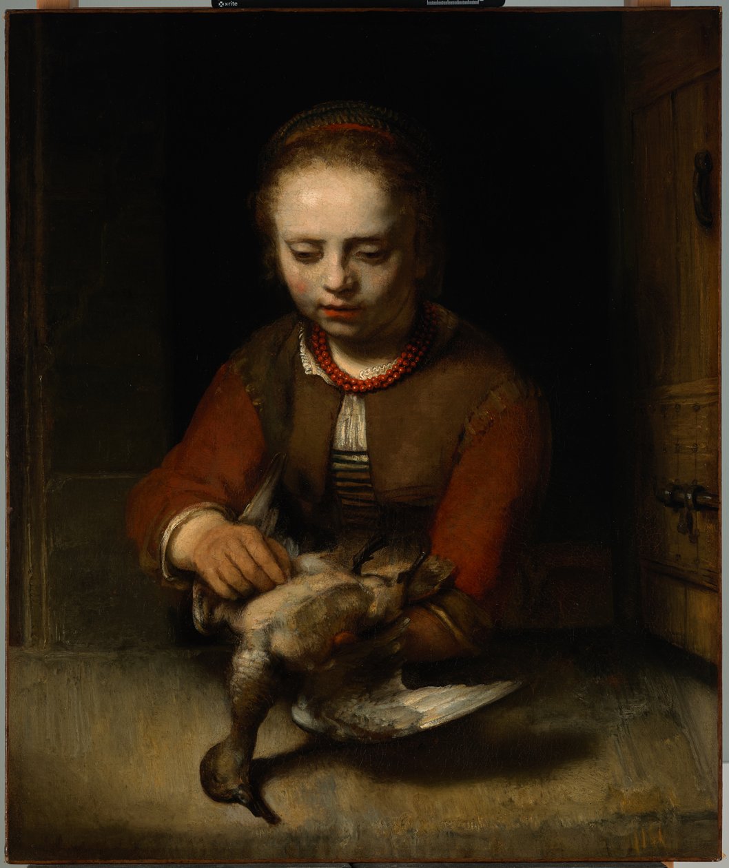 Young Girl Plucking a Duck, c.1650 by Barent Fabritius